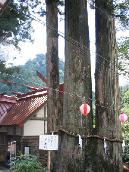 奧氷川神社
